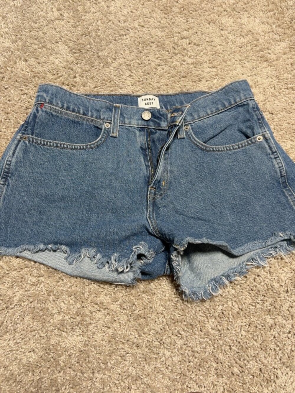 Aritzia Sunday Best Cut Off Denim Shorts